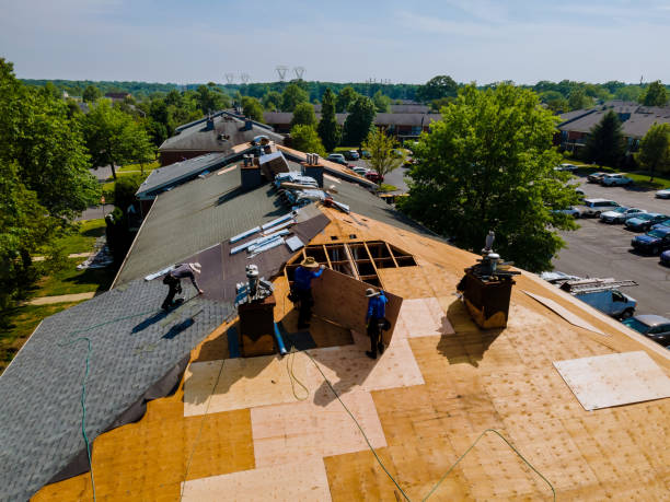 Trusted Roof Replacement service in Lowman, ID - Brentwood Metal Roofing